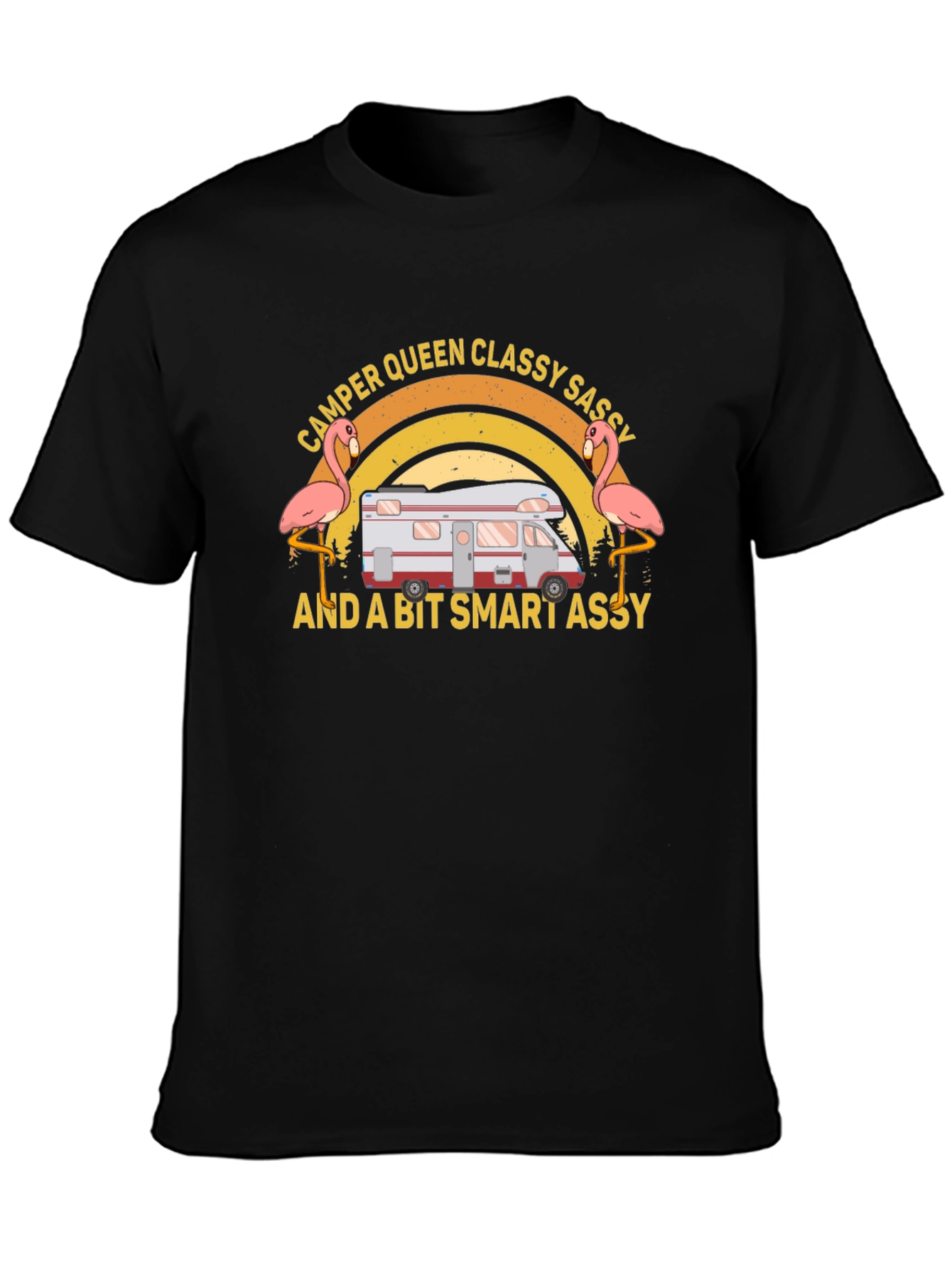 Camper Queen Classy Sassy Funny T-Shirt