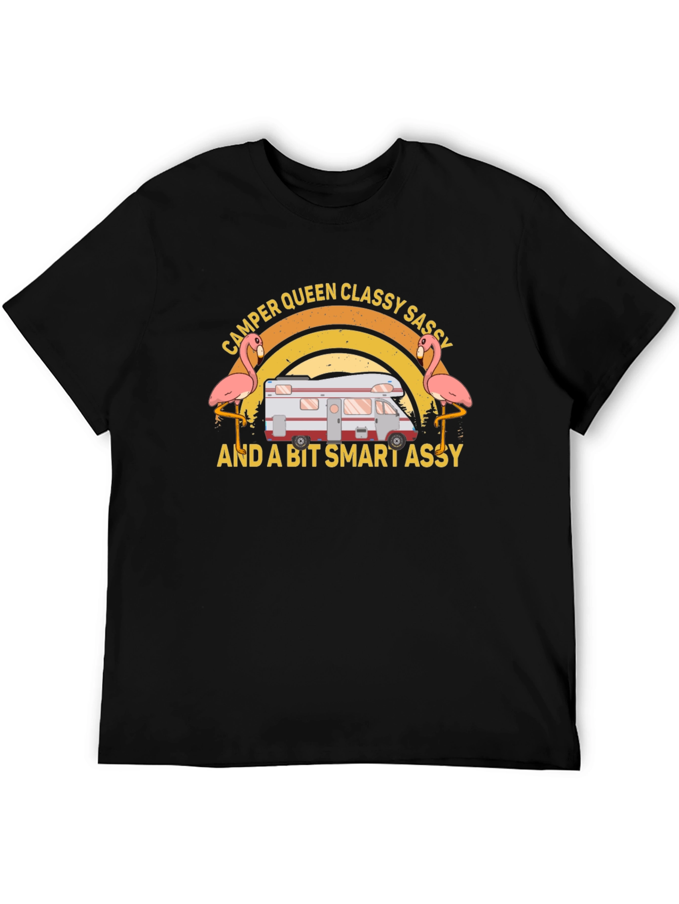 Camper Queen Classy Sassy Funny T-Shirt