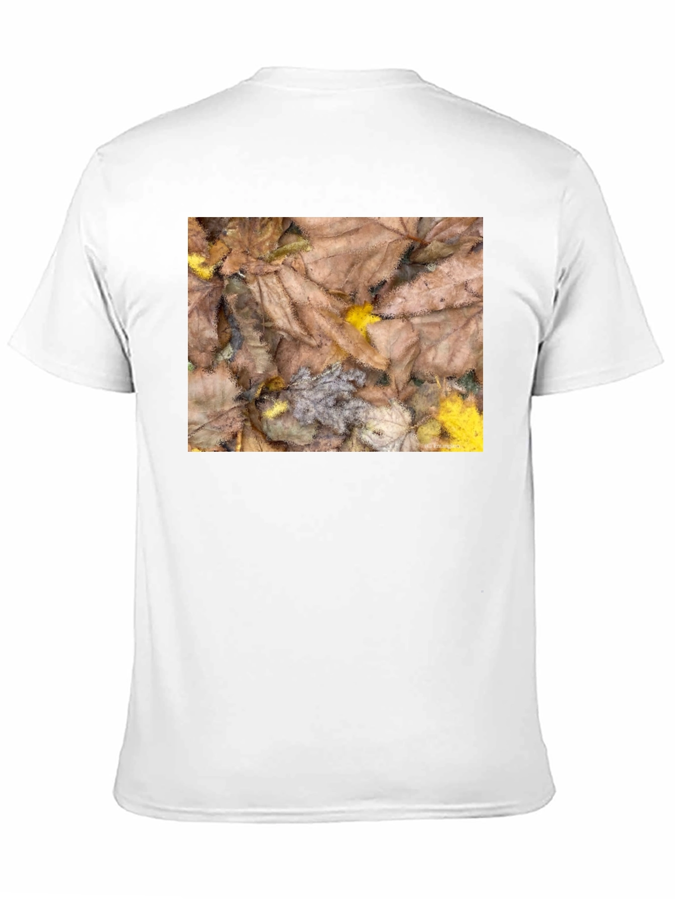 Autumn Leaves Pattern Black T-Shirt