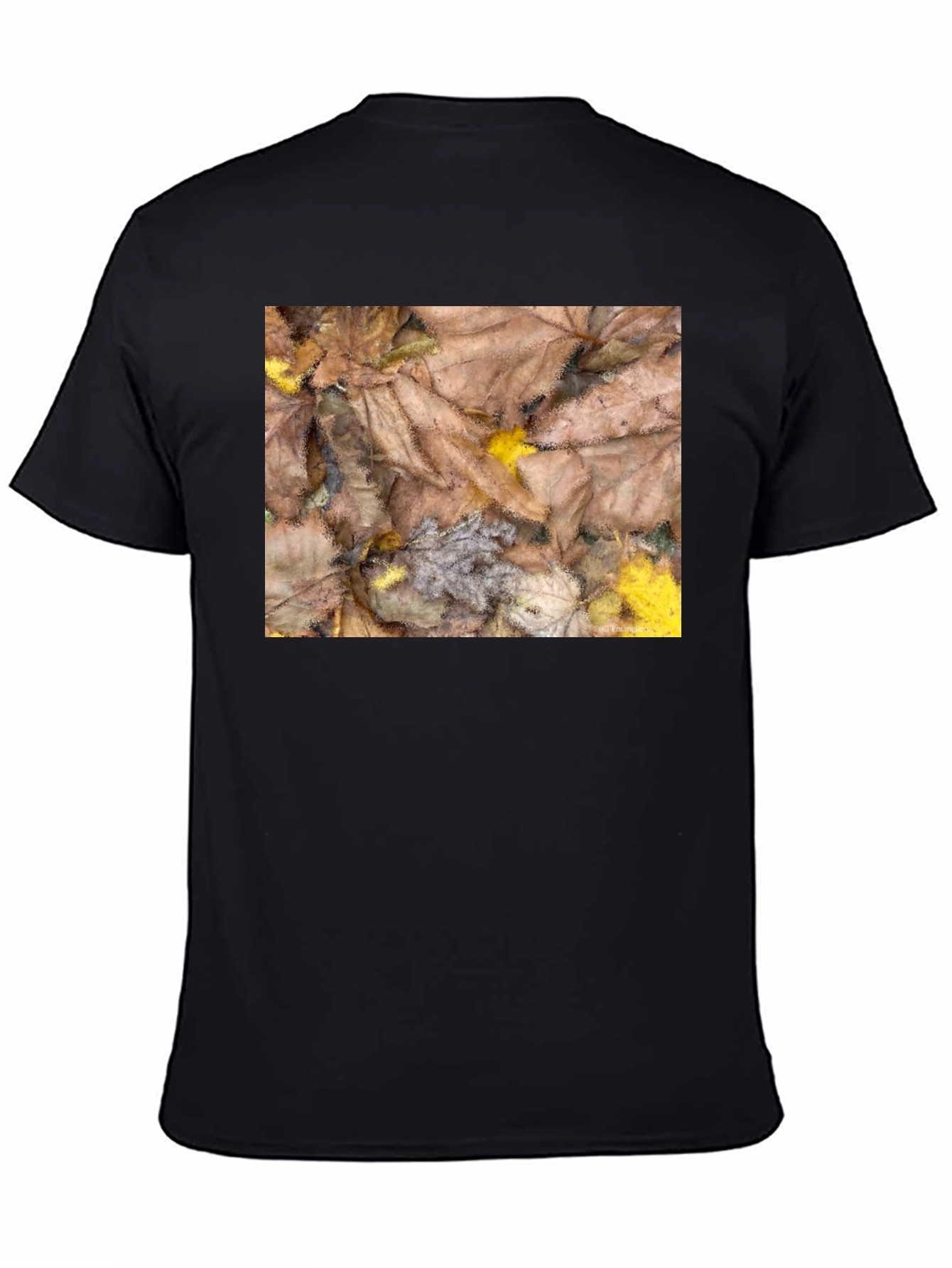 Autumn Leaves Pattern Black T-Shirt