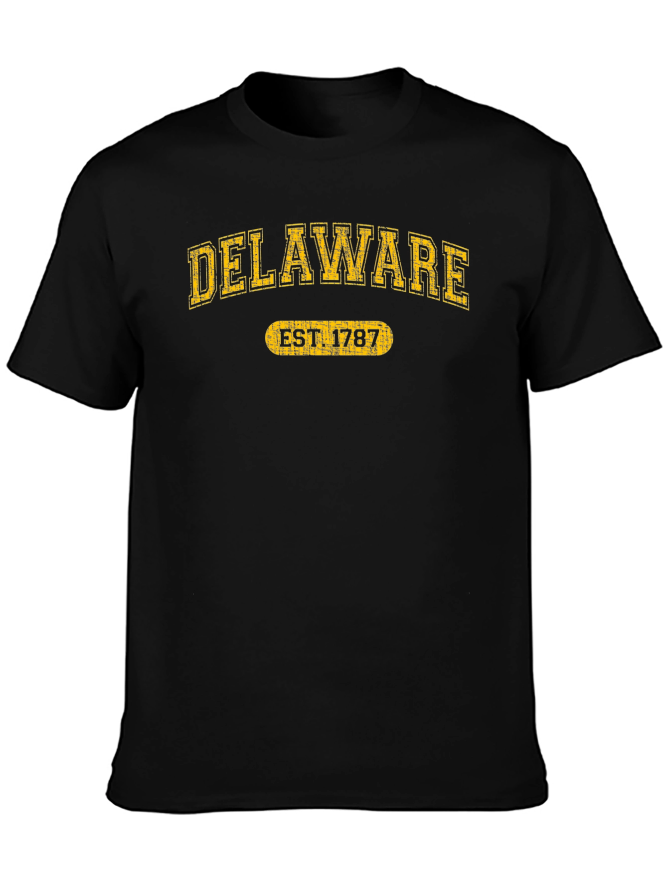 Delaware Est. 1787 Graphic Tee - State Pride